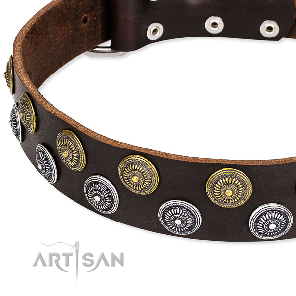 Genuine leather dog collar with fashionable studs