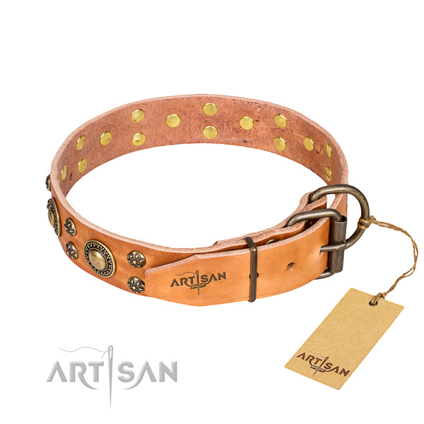 Daily walking natural genuine leather collar with studs for your four-legged friend