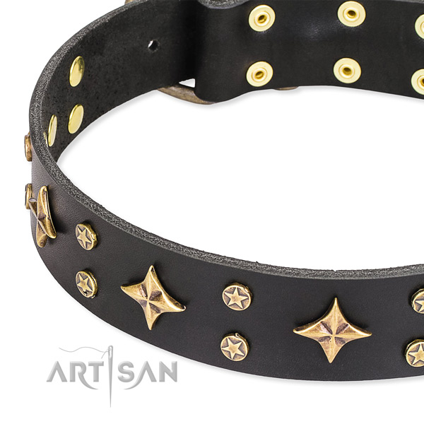 Full grain leather dog collar with inimitable adornments