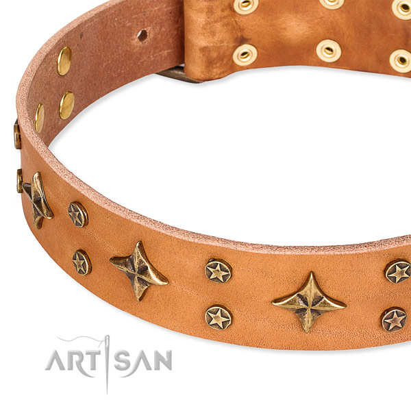 Full grain genuine leather dog collar with unique decorations
