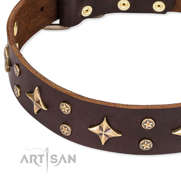 Full grain genuine leather dog collar with awesome studs