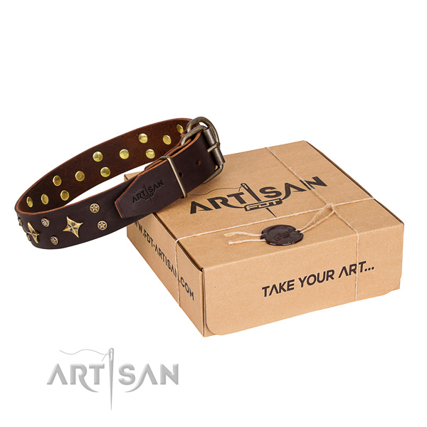 Decorated full grain leather dog collar for everyday use