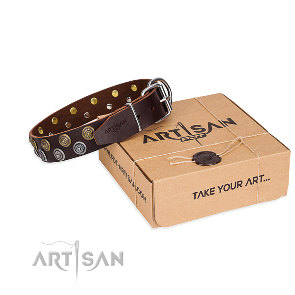 Full grain natural leather dog collar with studs for walking