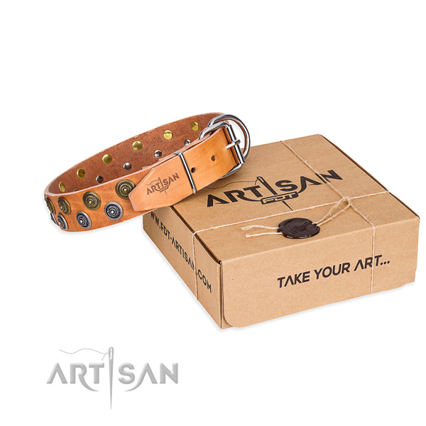 Full grain natural leather dog collar with studs for walking