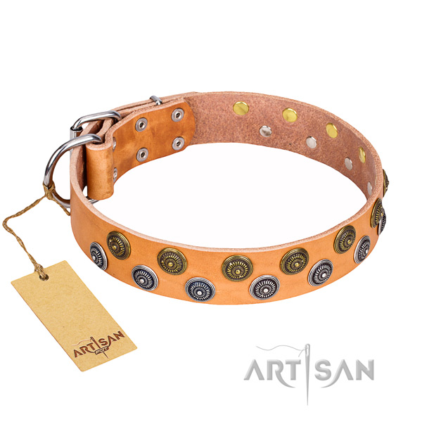 Unusual full grain natural leather dog collar for daily use