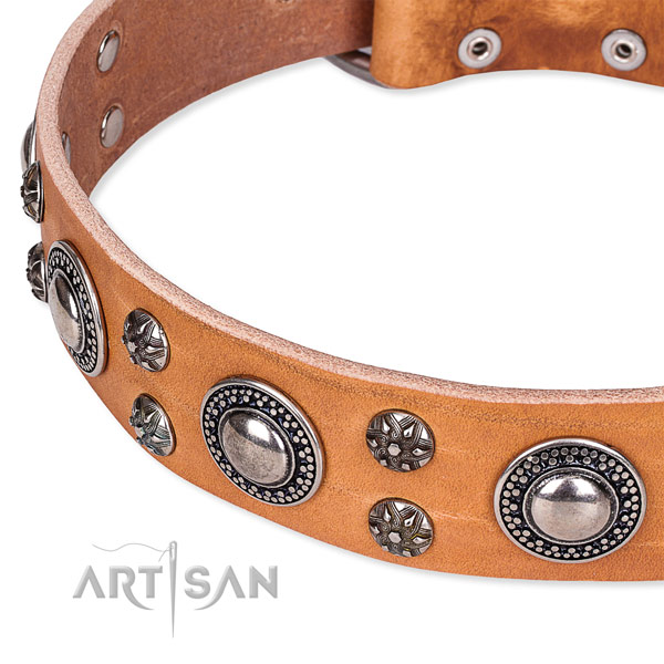 Daily walking leather collar with strong buckle and D-ring