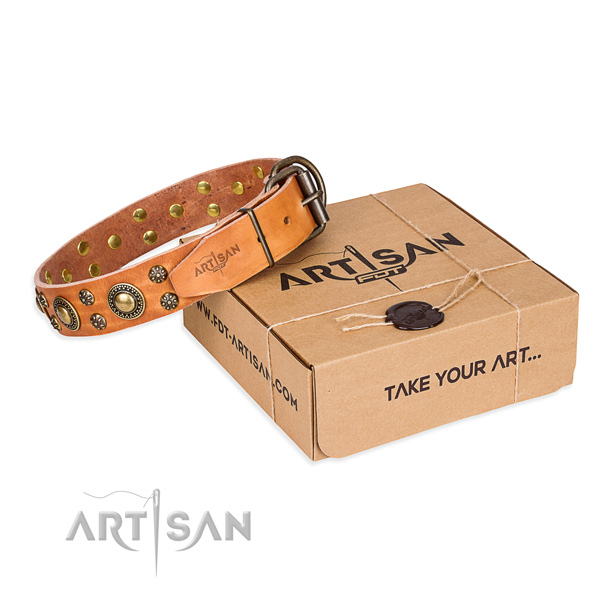 Full grain leather dog collar with adornments for everyday walking