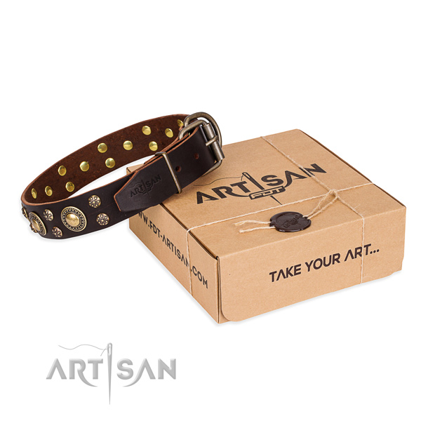 Stylish design full grain genuine leather dog collar for everyday use