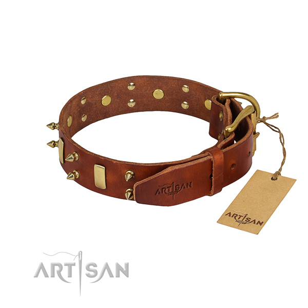 Strong leather dog collar with riveted elements