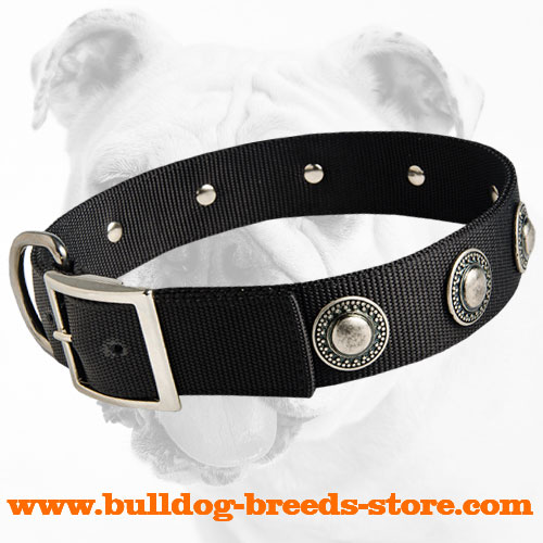 Nylon Bulldog Collar with Sturdy Fittings