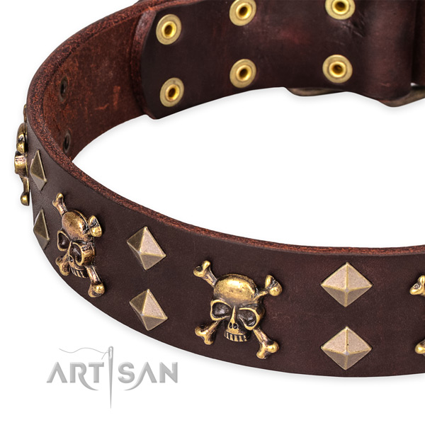 Daily leather dog collar with fancy embellishments