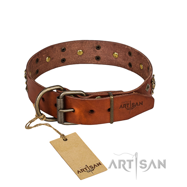 Sturdy leather Bulldog collar with reliable details