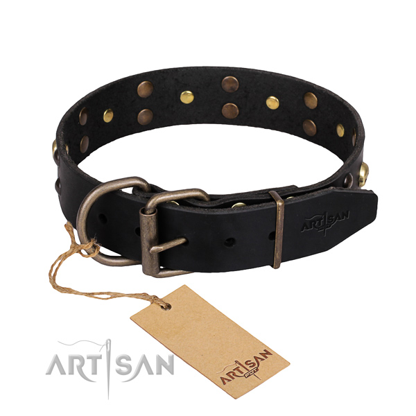Indestructible leather dog collar with durable elements