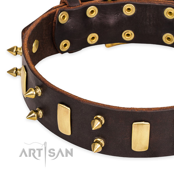 Easy to adjust leather dog collar with almost unbreakable brass plated set of hardware