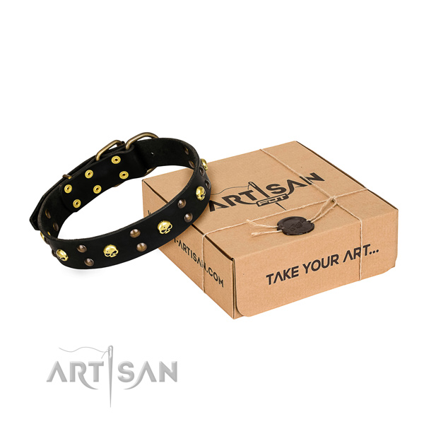 Daily leather dog collar with exceptional adornments