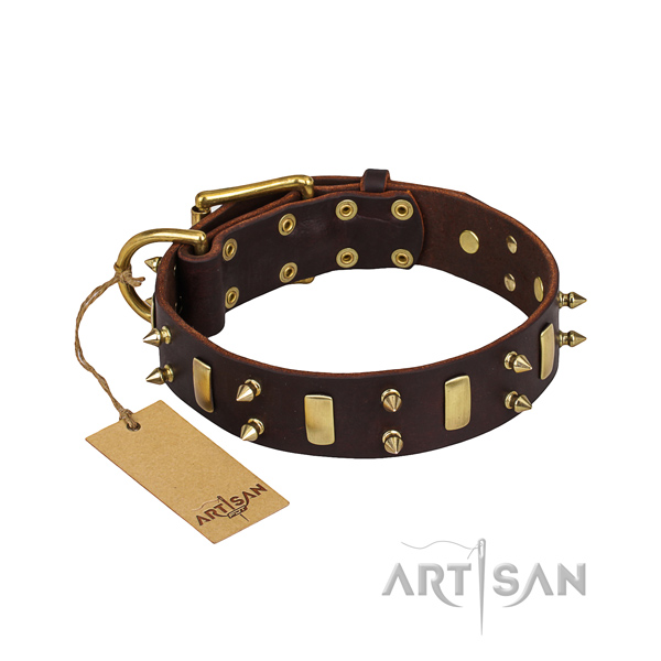 Full grain natural leather dog collar with smoothed surface