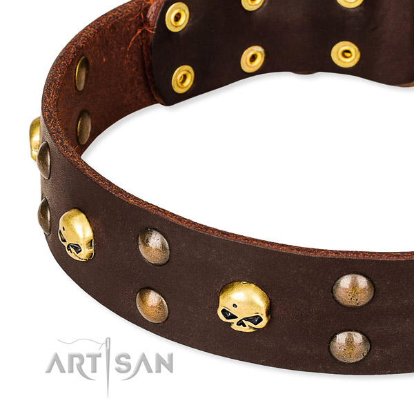 Top notch leather dog collar for stylish walking
