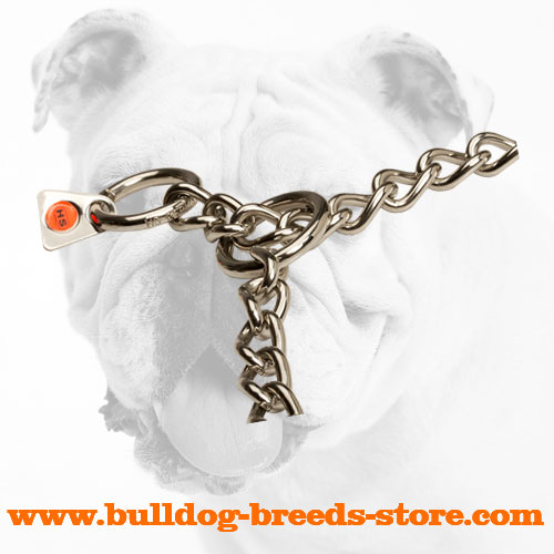 Wide O-rings on Stainless Steel Bulldog Choke Collar
