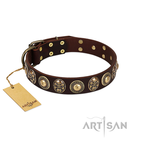 Inimitable leather dog collar for daily use