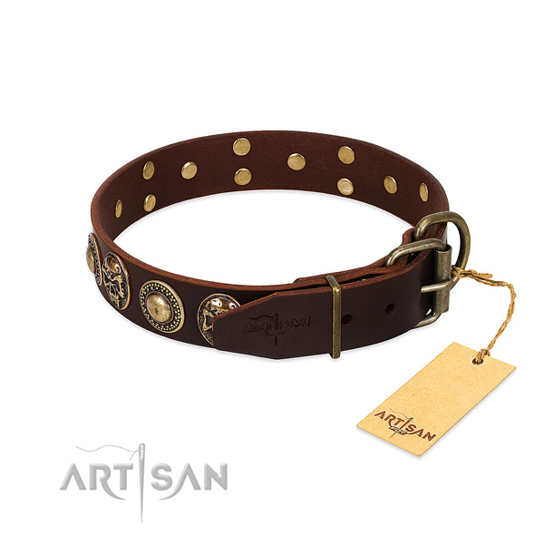 Daily walking natural genuine leather collar with adornments for your pet