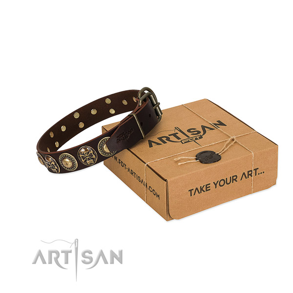 Studded full grain natural leather dog collar for stylish walking