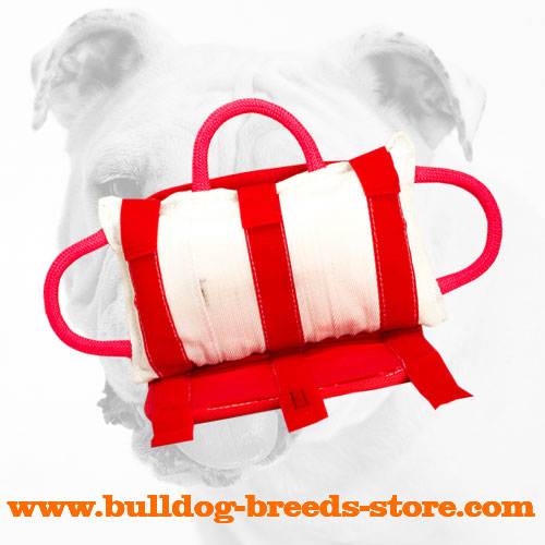 Bulldog Bite Pillow with Three Handles