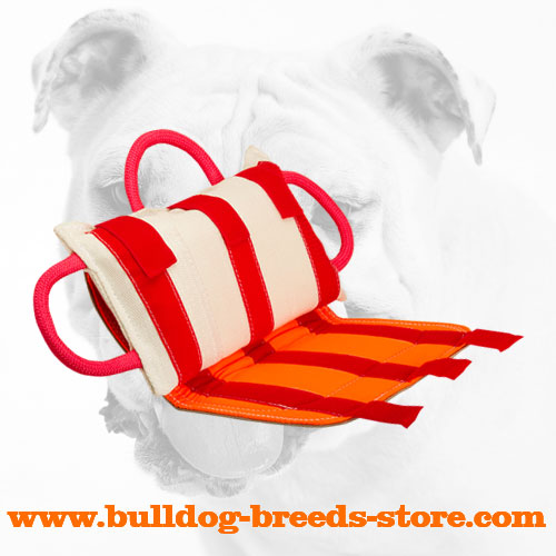 Leather Covered Bulldog Bite Pillow for Training