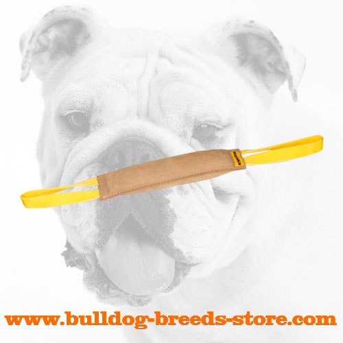 Tear Resistant Leather Dog Bite Tug for Bulldog