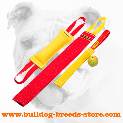 French Linen Bulldog Bite Tugs for Developing Prey Drive