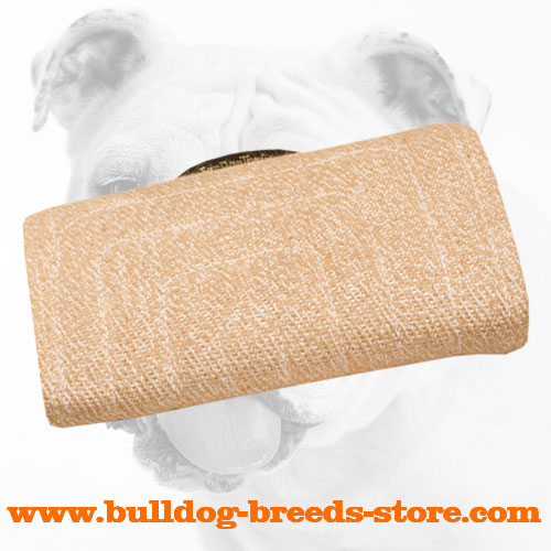 Training Jute Bulldog Bite Builder