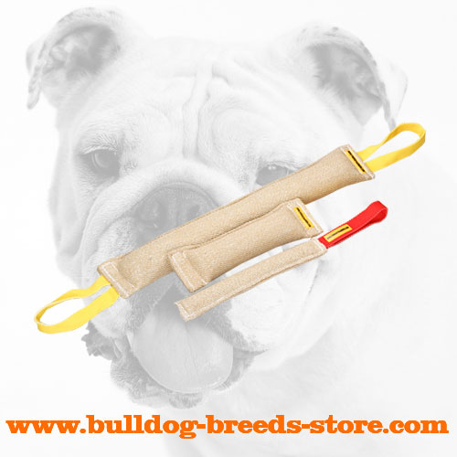 Hand-Stitched Jute Bulldog Bite Set