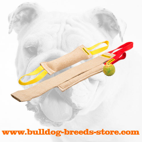 Training Jute Bulldog Bite Tugs