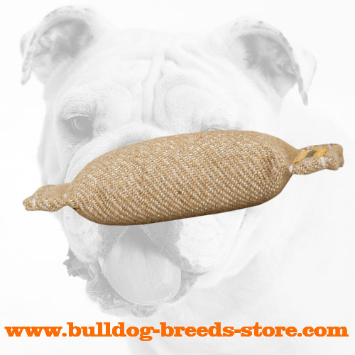 Jute Bulldog Bite Tug without Handles for Puppies