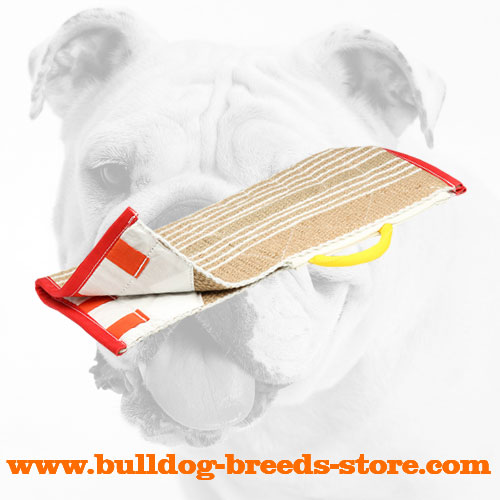 Jute Bulldog Cover