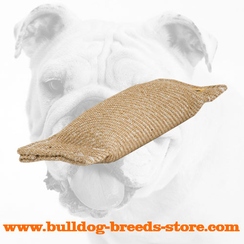 Properly Stitched Jute Bulldog Puppy Bite Tug