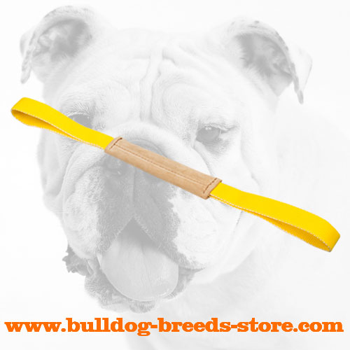 Strong Leather Bulldog Bite Tug with Two Comfortable Handles