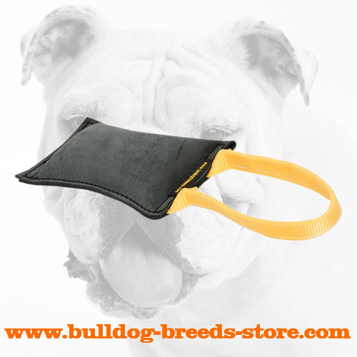 Sturdy Retrieve Leather Bulldog Bite Tug with Handle