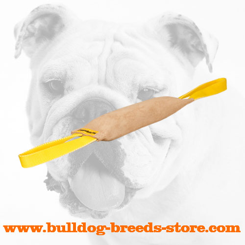 Strong Leather Bulldog Bite Tug with Two Handles