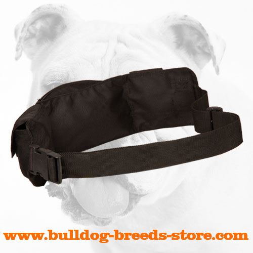 Nylon Bulldog Pouch for Treats