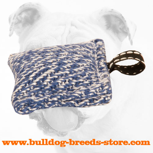 Bulldog Bite Tug for Puppy Training