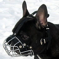 French Bulldog Wire Cage Muzzle with Soft Padded Nose Area French Bulldog Wire Cage Muzzle with Soft Padded Nose Area