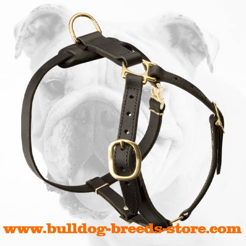 Adjustable Walking Leather Bulldog Harness