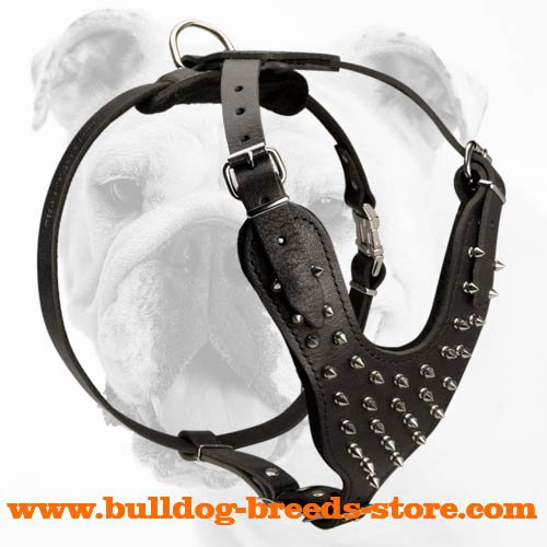 Bulldog leather cheap harness