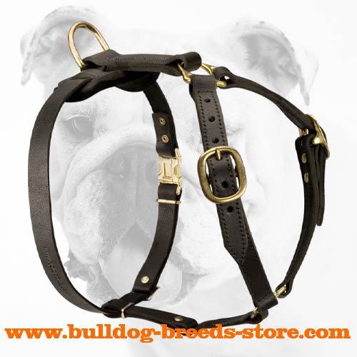 Dog harness hotsell for bulldogs