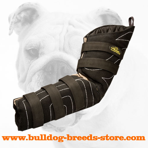 are bulldog protective