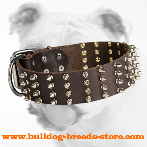 Spiked Wide Leather Bulldog Collar : Bulldog Breed: Dog Harness, Muzzle