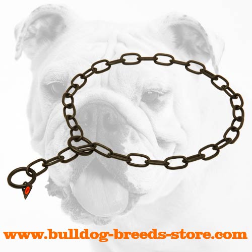 dog chain online purchase