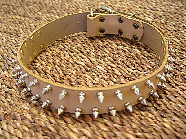 Get Spiked Walking Leather Dog Collar Bulldog Gear