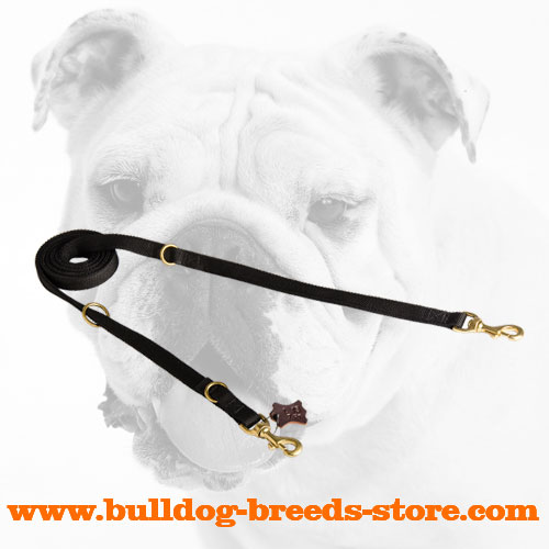 Hand-Made Nylon Bulldog Leash for Walking