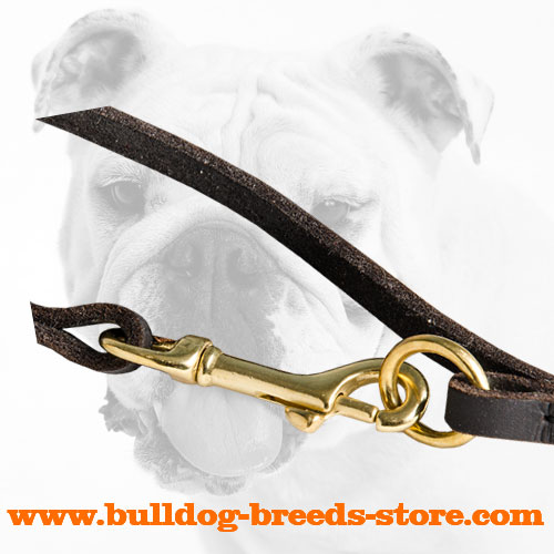 Durable Fittings of Walking Leather Dog Leash for Bulldog